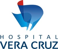 vera-cruz-log